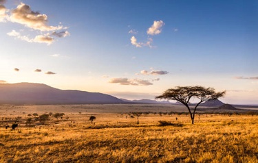 istockphoto-1140829787-612x612