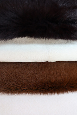 mouton lainé 12.JPG